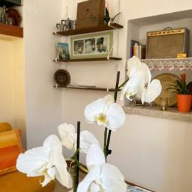 Casavacanze Salento Spani، فندق في فيليي