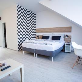 Haas Apartments, hotel in Brno