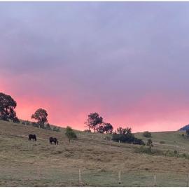 Tangory Farmstay, Hotel in Glendon Brook