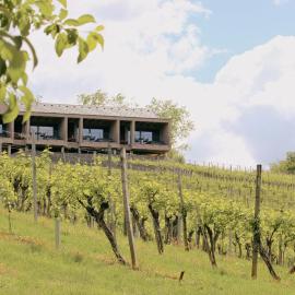 DER ZWEYTICK - Weingut, Buschenschank & Lodges, Hotel in Ehrenhausen