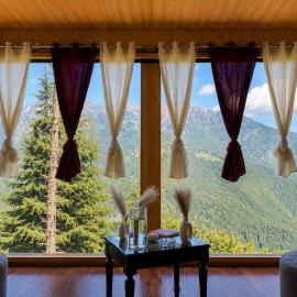 The Woodnest Tandi