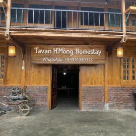 Ta Van H'Mong - Homestay