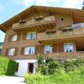 Apartment Berg Edelweiss by Interhome