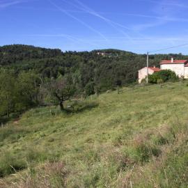 Ecrin de verdure en Ardèche verte