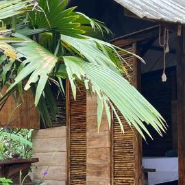 Ancestra black ecolodge