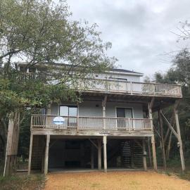 The Tree House