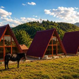 Wooden Cabin 1 with Pool Access - Bate Bole Resort, hotel v destinaci Ohrid