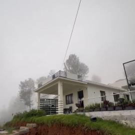 The White Haven Kotagiri