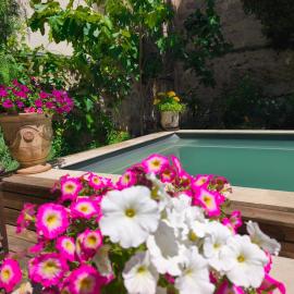 VILLA ADOYA Chambre d'hôtes Aigues-Mortes intra muros au calme climatisation réversible PISCINE WIFI ascenseur PARKING gratuit, hotel di Aigues-Mortes