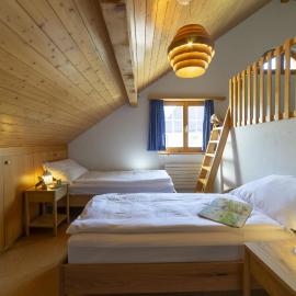 Dachnest