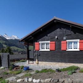 Bergpanorama, hotel in Wildhaus