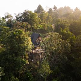 Mirador AFrame Cafetal, Vista en Comasagua