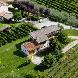 Charming House Among the Prosecco Hills & Olive Groves
