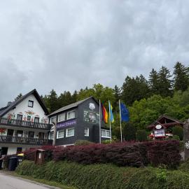 Waldhotel Einstein，基希洪德姆的飯店