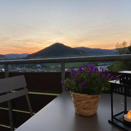 Ferienwohnung Rinkenblick