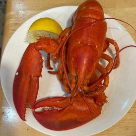 Lobster Cove Friendship House, hotel di Jonesport