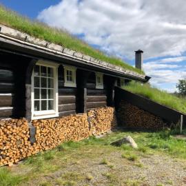 Budalen, spacious cabin close to skitracks, hotel u gradu 'Holo'