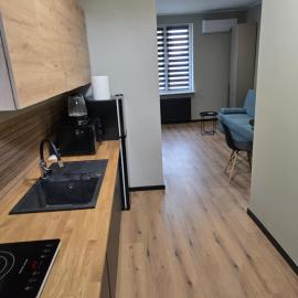 Apartament 1 w Leśnym Zaciszu