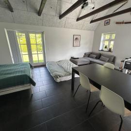 Large modern family room - “Arnely” – hotel w mieście Tommerup