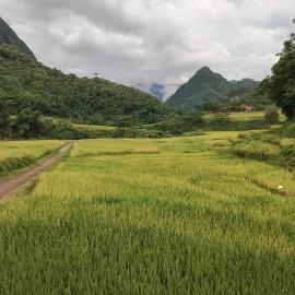 Homestay wiu ruộng bậc thang, Hotel in Lũng Tiềm