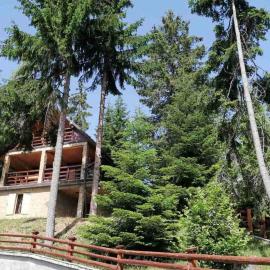 Apartman Tri srca Zlatar