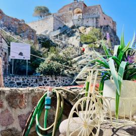 Heart of Petra, hotel em Petra