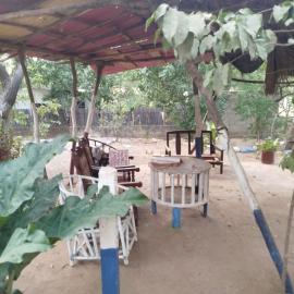 casa camping mr wilson