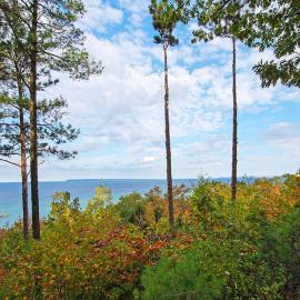 Hawks Nest 58, hotelli kohteessa Glen Arbor