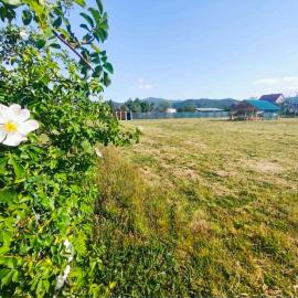 Auto Camp, Tents & Country Farm Bjelica