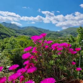 CASA VACANZE - Anna Holiday Home