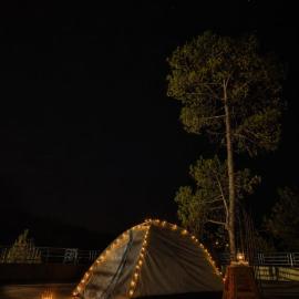 Kayala Inn, hotel in Binsar