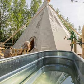 Tipi Bo Deluxe bij Logie Marie, hotel Kaprijke városában