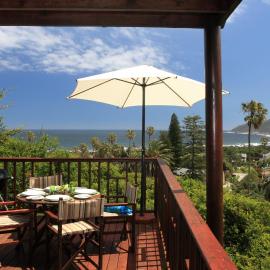 The Loerie's View