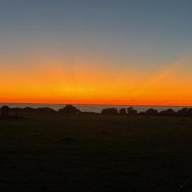 Ocean View Cottage, Hotel in Pescadero