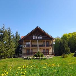 Cabana Andrea, Hotel in Arpaşu de Sus
