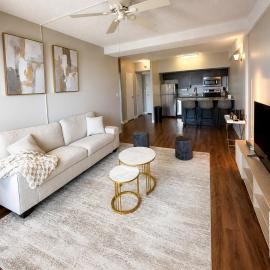 Spacious1 Br Downtown View Near River Experiences