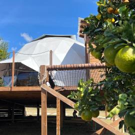 Glamping oriente antioqueño, hotel in San Vicente