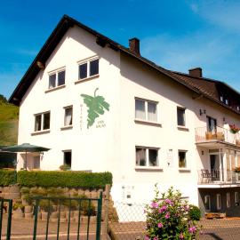 Weingut-Brennerei-Gästehaus Emil Dauns، فندق في رايل