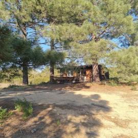 Cabane au bord du Maquis