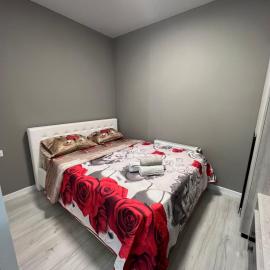 APARTMENT CENTRAL zm
