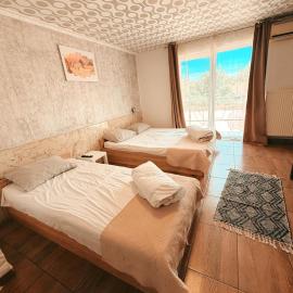 Pensiunea Johanna, hotel em Arad