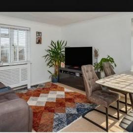 Cozy Flat