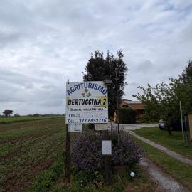 La Bertuccina