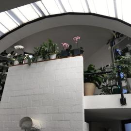 Paradise Home, ξενοδοχείο σε Arogno