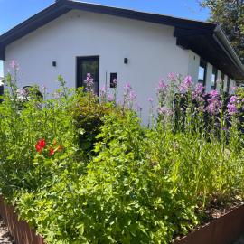 House with a lovely location、ボルコップのホテル