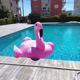 Apartment Lazy Dayz Pool