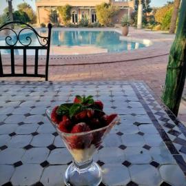 Les jardins bleus, Hotel in Taroudant