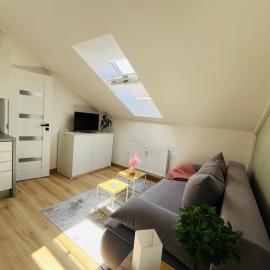 Main Square Grey Studio with Parking