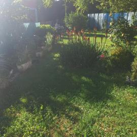 Villa Rose des Vents