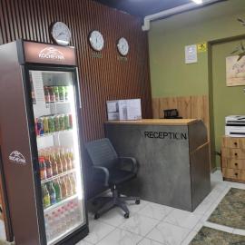 Kochevnik capsule Hostel, hotel in Almaty